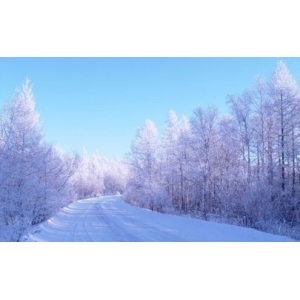 2019年冬天数九是几月几号 2019年冬天哪一天入九