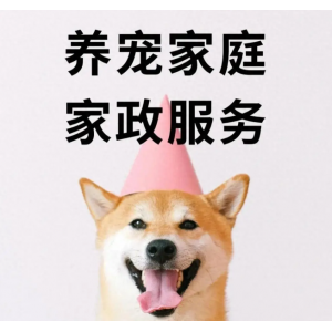 年前生活服务需求激增，家政保洁与宠物寄养“一窝难求”