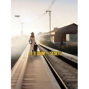 春运路上的情感图鉴 跨越山海的牵挂与不期而遇的温暖